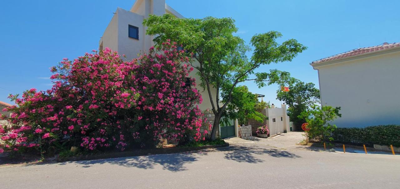 Boutique Home Saltaragazza Petrovac Eksteriør billede