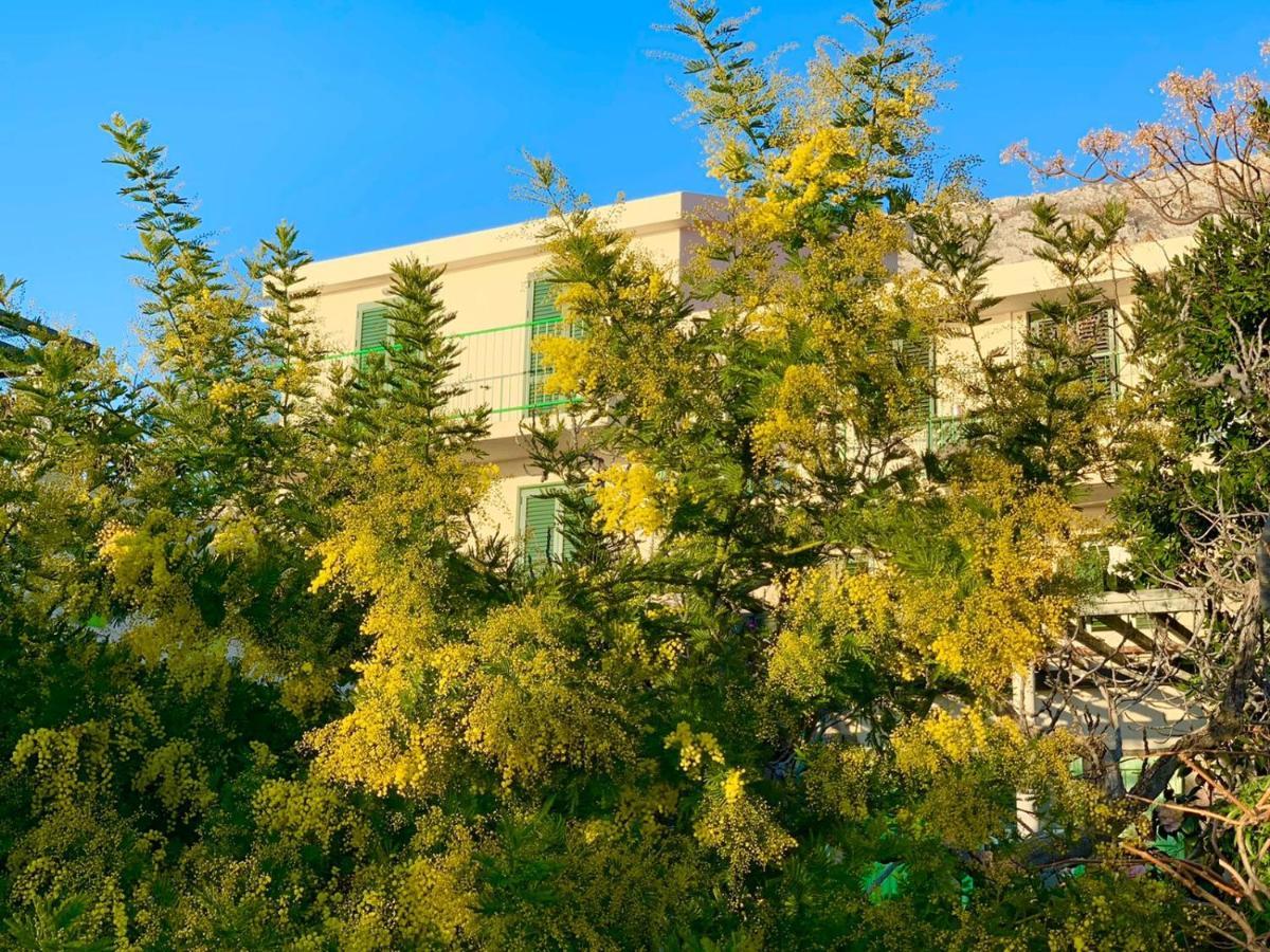 Boutique Home Saltaragazza Petrovac Eksteriør billede