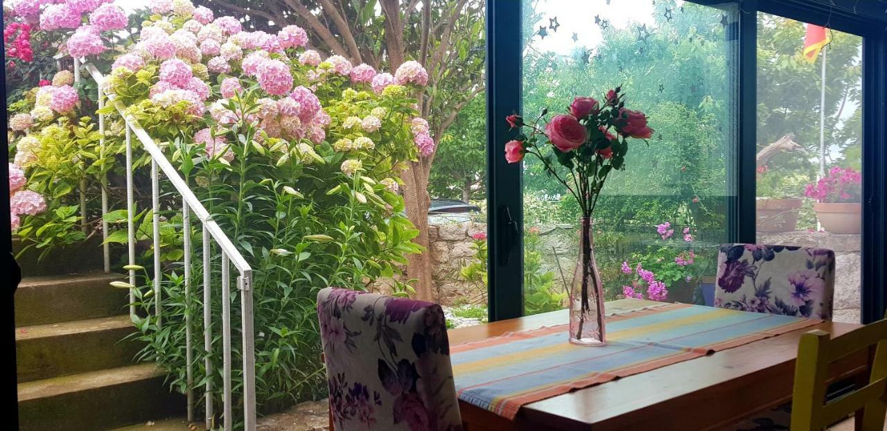 Boutique Home Saltaragazza Petrovac Eksteriør billede